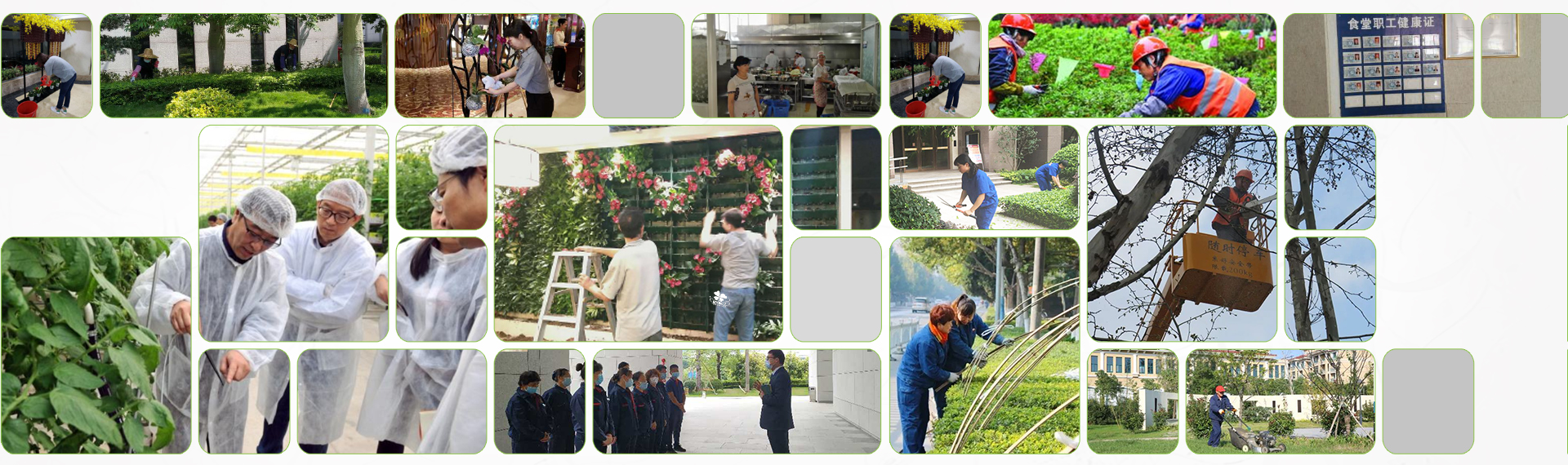 綠植租擺養(yǎng)護(hù)和技術(shù)團(tuán)隊(duì)